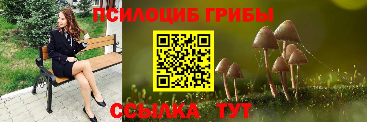 Псилоцибиновые грибы Psilocybine cubensis Лесосибирск
